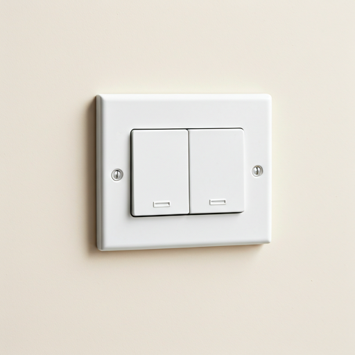 Precision Mechanical Switch
